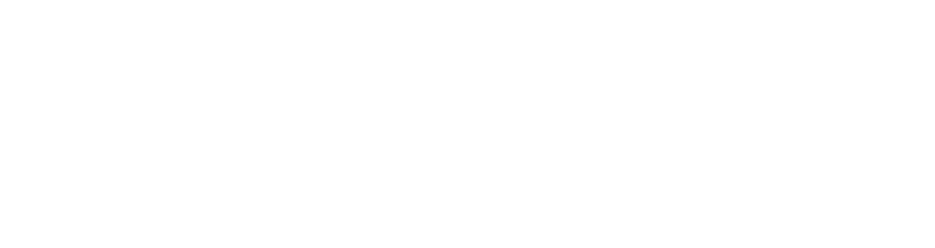 Vanessa Silva